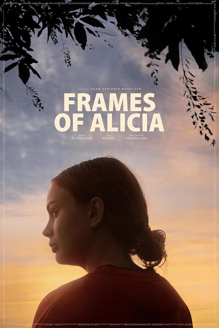 Frames of Alicia poster