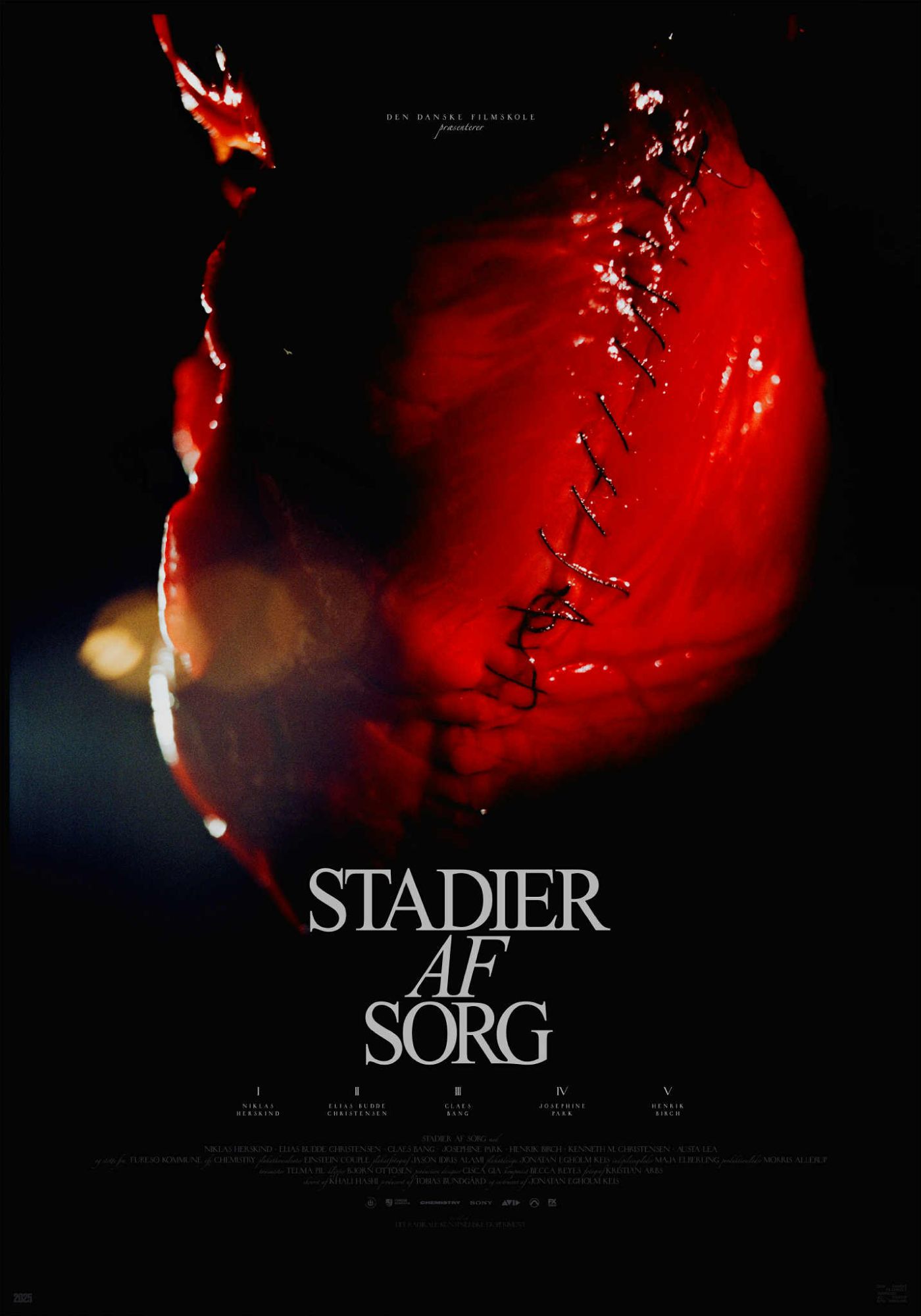 Stadier af sorg
